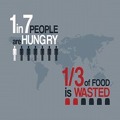 تحقیق درباره گرسنگی و بحران جهانی