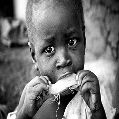 تحقیق درمورد گرسنگی و بحران جهانی