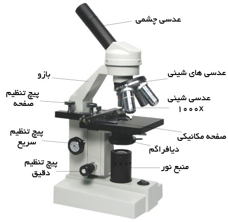 تحقیق در مورد میکروسکوپ کلاس ششم