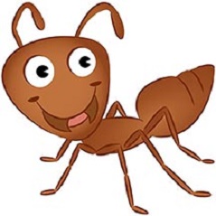 تحقیق درمورد مورچه کلاس دوم