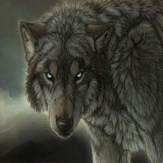 متن انگلیسی در مورد گرگ
