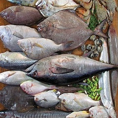 چند نوع ماهی مختلف نام ببرید و بگویید در کدام قسمت از کشور عزیزمان ایران زندگی می کنند ؟