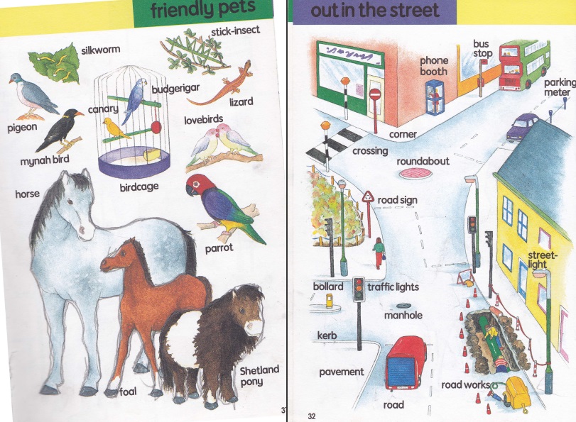 کتاب هزار لغت انگلیسی پرکاربرد برای کودکان بصورت مصور رنگی