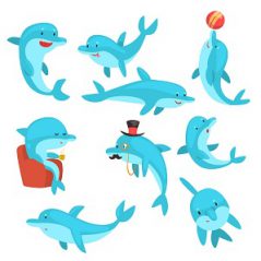 متن انگلیسی در مورد دلفین ها