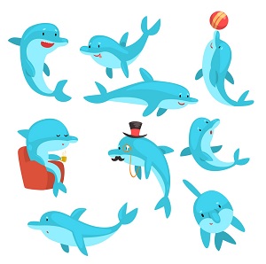 متن انگلیسی در مورد دلفین ها