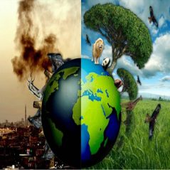 متن انگلیسی در مورد حفاظت از طبیعت ، saving nature