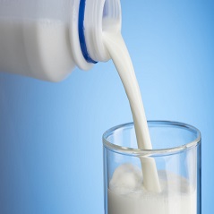 متن انگلیسی درباره شیر
