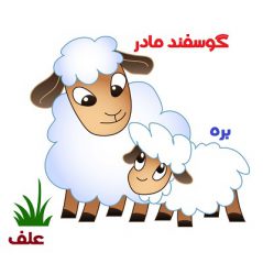 تحقیق در مورد گوسفندان برای کودکان