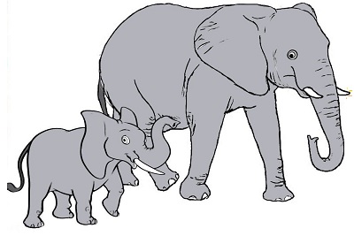 تحقیق در مورد فیل برای بچه ها