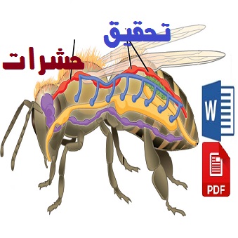 تحقیق pdf و word حشرات
