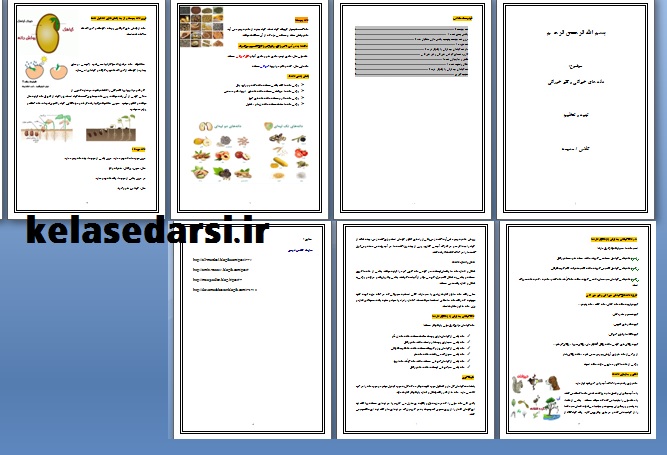 دانه های خوراکی و غیرخوراکی PDF و WORD
