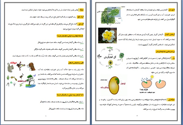 گل و گیاه PDF و WORD
