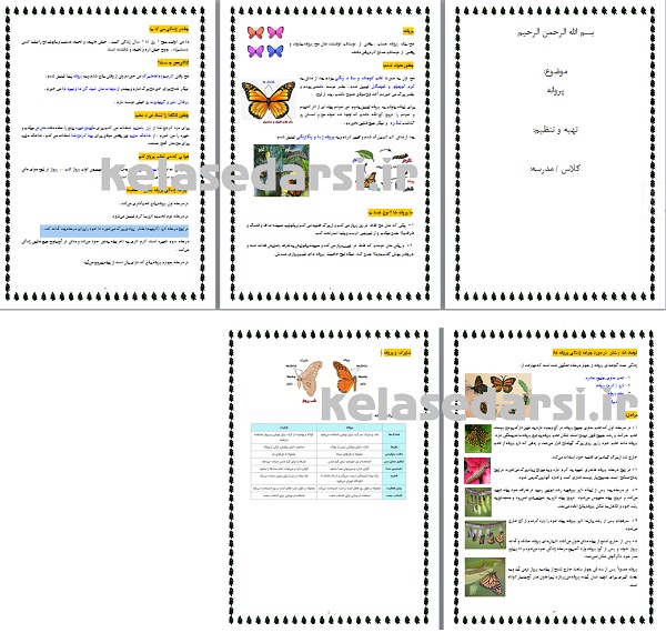 تحقیق در مورد پروانه برای کودکان pdf و word