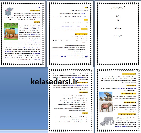 فیل PDF و WORD