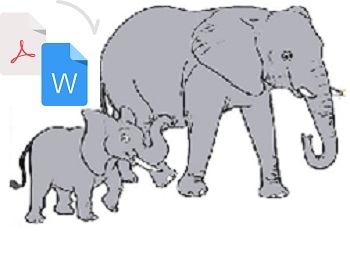 فیل PDF و WORD