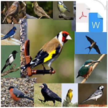 آشیانه سازی پرندگان PDF و WORD
