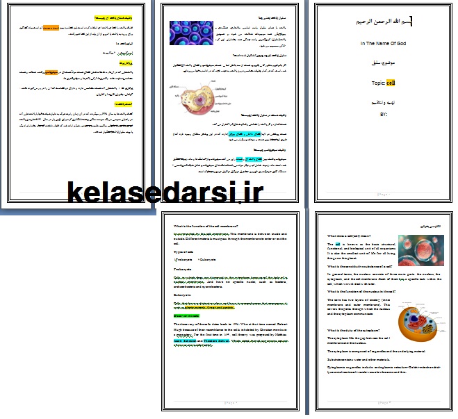 متن انگلیسی و فارسی سلول PDF و WORD