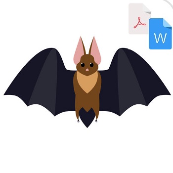 تحقیق خفاش PDF و WORD