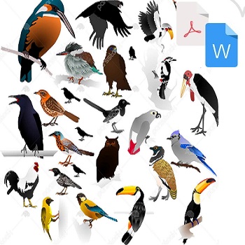 تحقیق پرندگان PDF و WORD