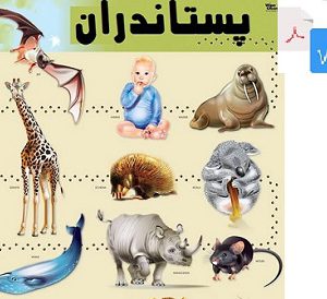 تحقیق پستانداران PDF و WORD