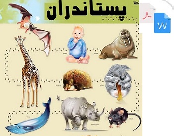 تحقیق پستانداران PDF و WORD