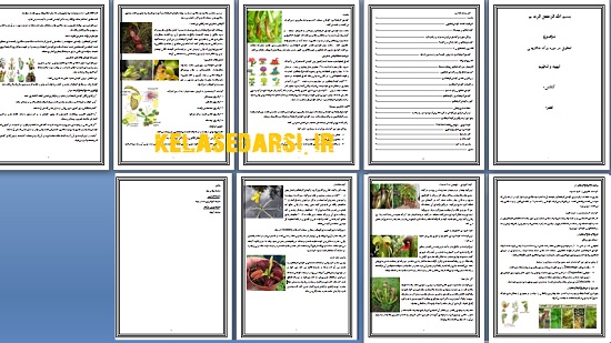گیاهان گوشتخوار PDF و WORD