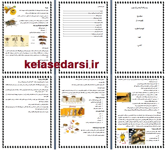 زنبور عسل PDF و WORD
