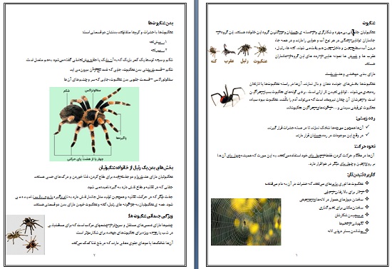 عنکبوتیان PDF و WORD
