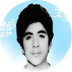 تحقیق در مورد شهید محمد حسین فهمیده