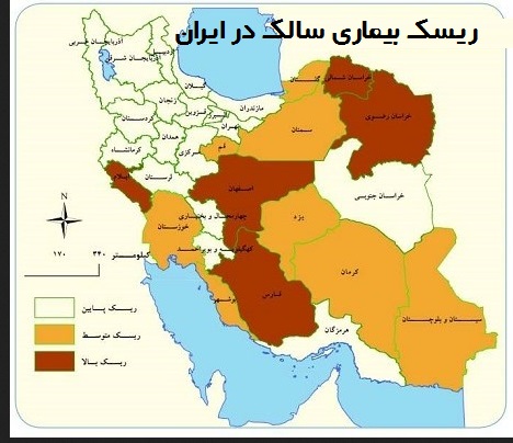 انواع سالک در ایران
