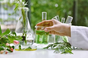 تحقیق در مورد گیاهان دارویی کلاس