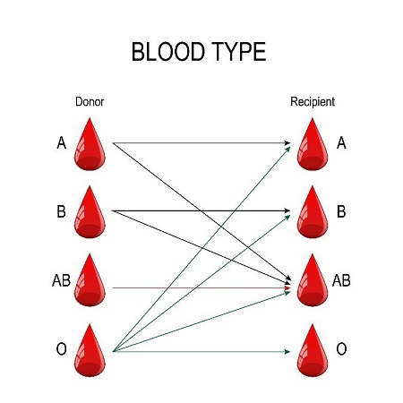 انشای انگلیسی در مورد اهدای خون با ترجمه فارسی