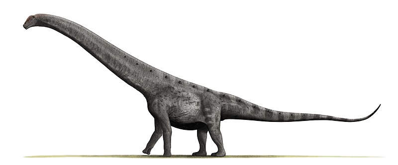 daynasor12نمونه عکس تحقیق در مورد انواع دایناسورها کلاس