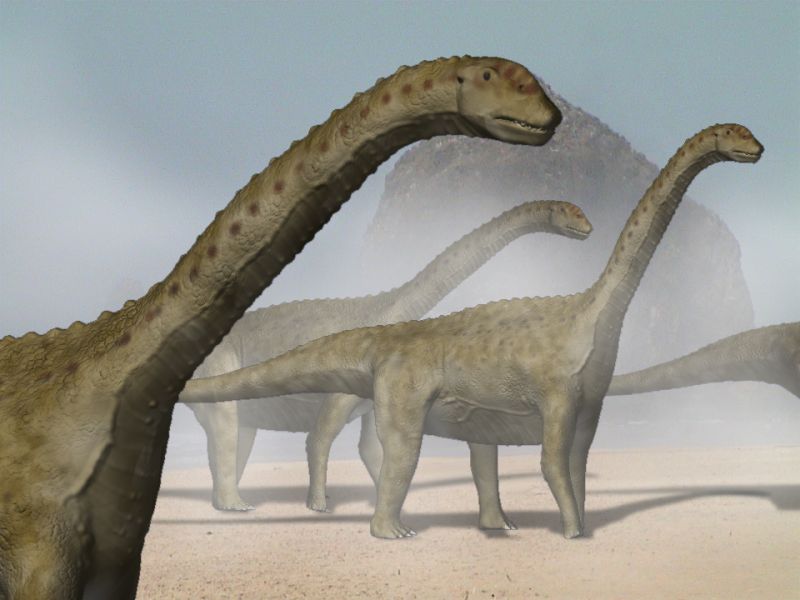 daynasor15نمونه عکس تحقیق در مورد انواع دایناسورها کلاس