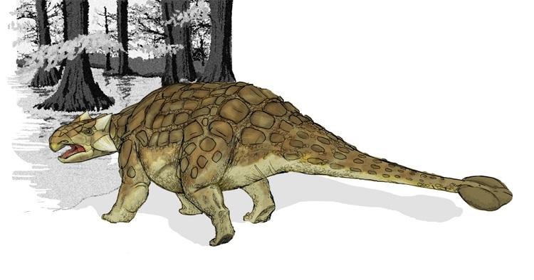 daynasor2نمونه عکس تحقیق در مورد انواع دایناسورها کلاس
