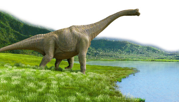 daynasor21نمونه عکس تحقیق در مورد انواع دایناسورها کلاس