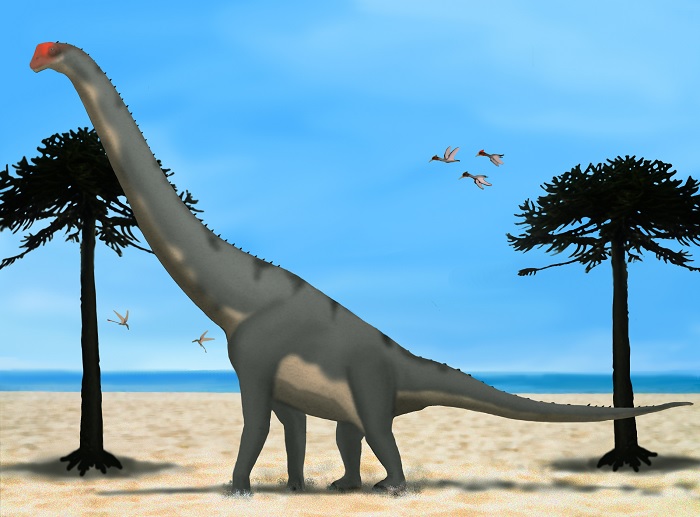 daynasor25نمونه عکس تحقیق در مورد انواع دایناسورها کلاس