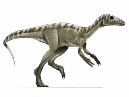 daynasor26نمونه عکس تحقیق در مورد انواع دایناسورها کلاس