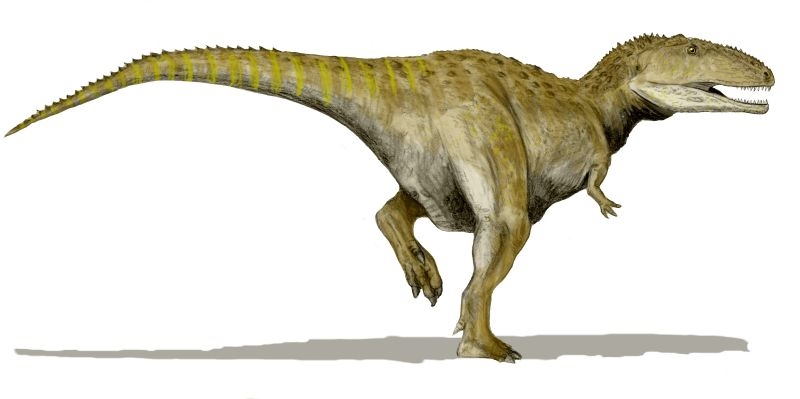 daynasor7نمونه عکس تحقیق در مورد انواع دایناسورها کلاس