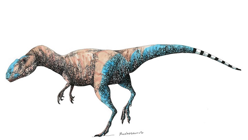 daynasor9نمونه عکس تحقیق در مورد انواع دایناسورها کلاس