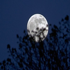 تحقیق کنید چرا ماه شب ها در آسمان دیده میشود
