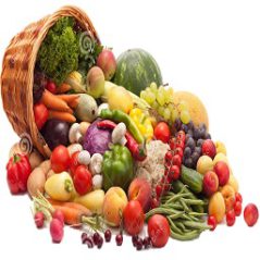 لکچر انگلیسی در مورد میوه و سبزیجات