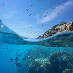 متن انگلیسی در مورد اقیانوس ocean