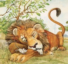 داستان موش و شیر از محمد طاها زاهدی 8 ساله