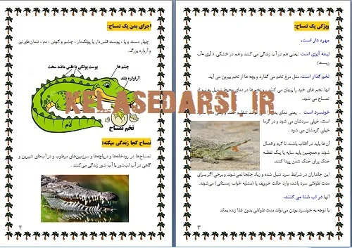 محصول تحقیق PDF تمساح