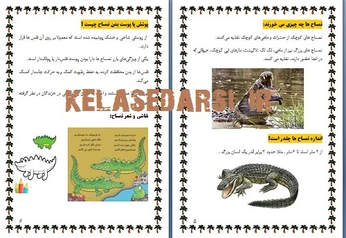 تحقیق تمساح برای کودکان PDF و WORD
