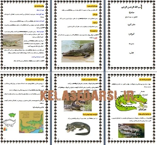 تحقیق تمساح برای کودکان PDF و WORD